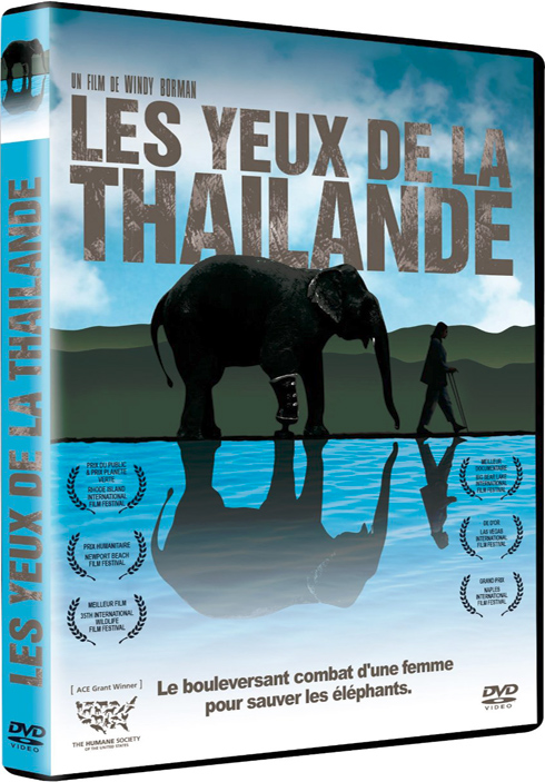 Les Yeux de la Thaïlande