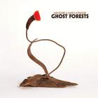 Ghost forests | Meg Baird. Interprète