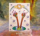 Fragment for balance | Biota. Musicien