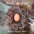 Hurry up and wait / Soul Asylum | Soul Asylum. Composition. Interprète