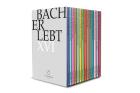 Bach Erlebt XVI