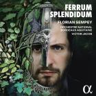 Ferrum splendidum