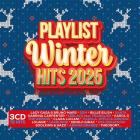 Playlist winter hits 2025