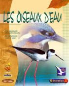 Oiseaux d'eau (Les) - Site/Réseau