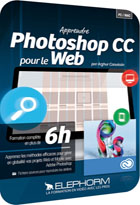 Apprendre Photoshop CC pour le Web