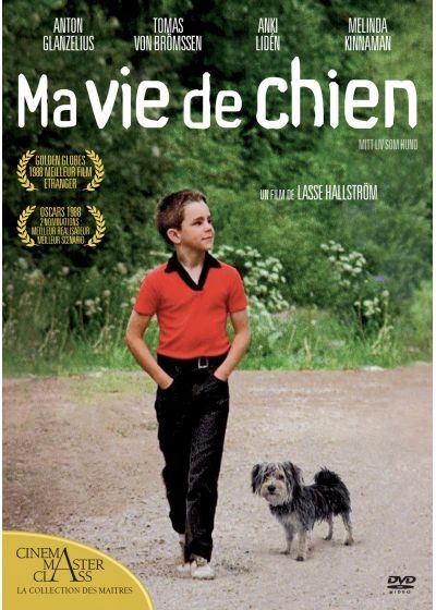 Ma vie de chien = Mitt liv som hund / Lasse Hallström, réal. | Hallström, Lasse. Réalisateur. Scénariste