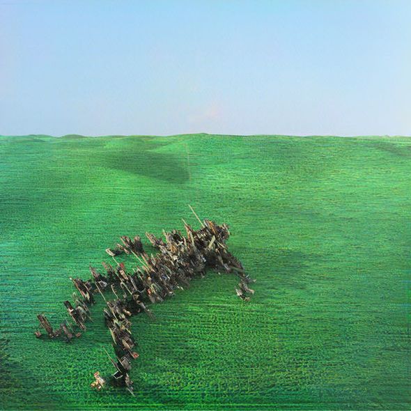 Bright green field / Squid | Borlase, Louis. Composition. Interprète