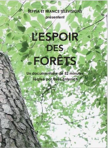 L'Espoir des forêts / film de Yves Entenich | Entenich, Yves. Metteur en scène ou réalisateur