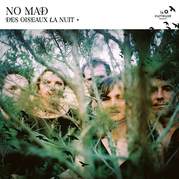 Des oiseaux la nuit / No Mad | No Mad