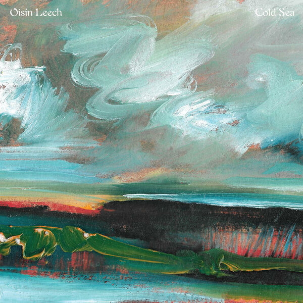 Cold sea / Oisin Leech | Leech , Oisin . Interprète