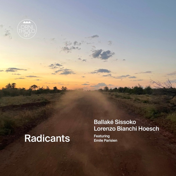 Radicants | Ballaké Sissoko (1968?-....). Interprète